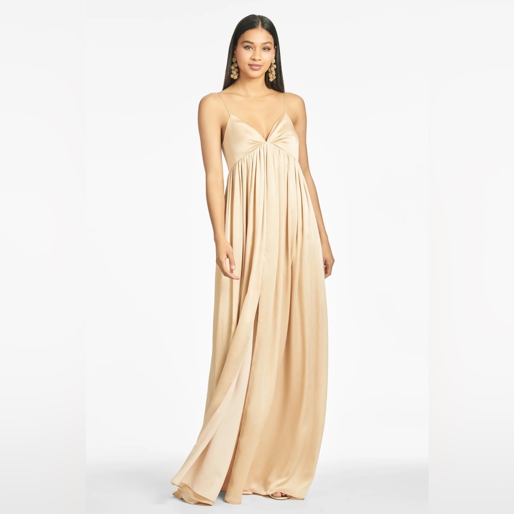 Sachin & Babi Jessica Gown